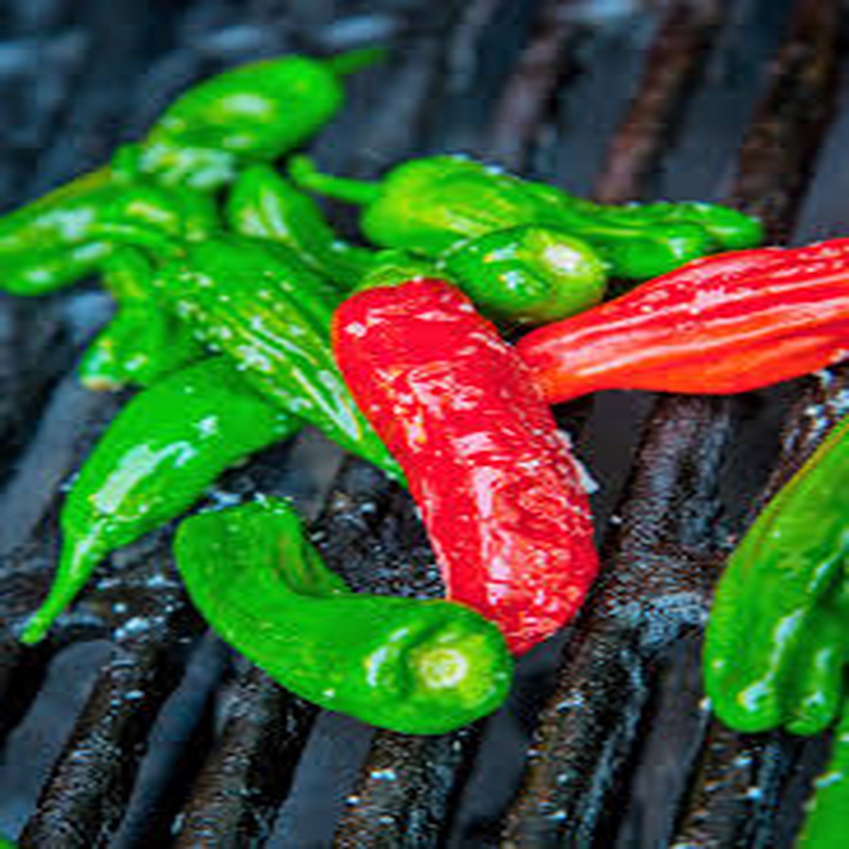 250 mg Seeds Shishito Oriental Hot Pepper Capsicum annuum | Mildly Spicy Japanese Pepper for Planting, Sauting & Grillin