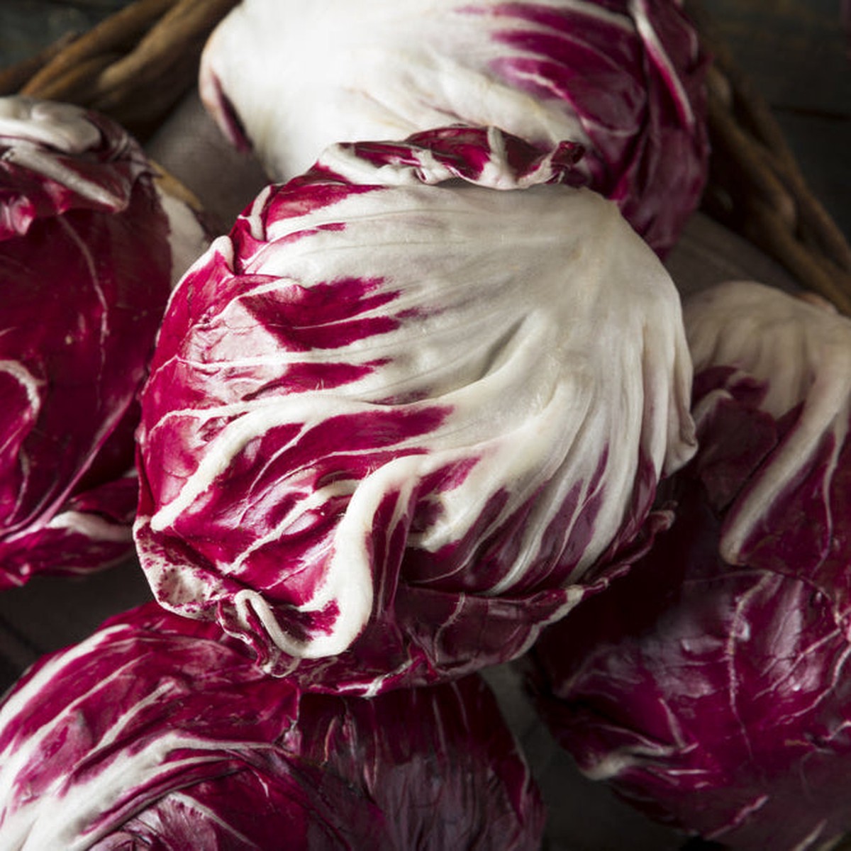 Chicory Radicchio Red Ball Vegetable | X 200 Seeds