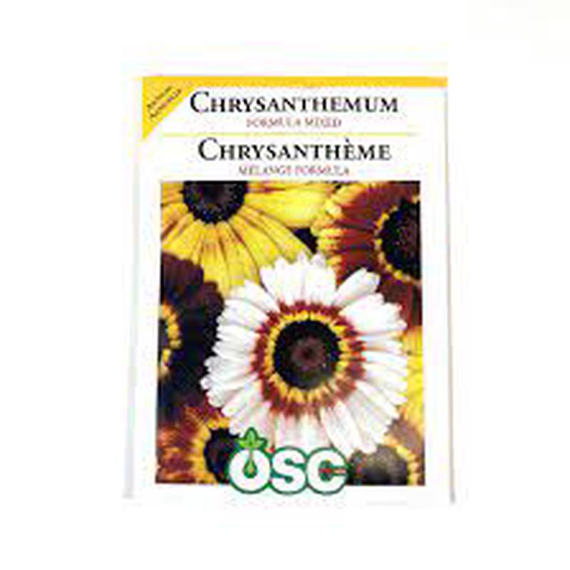 Chrysanthemum Seed Packets - Formula Mixed
