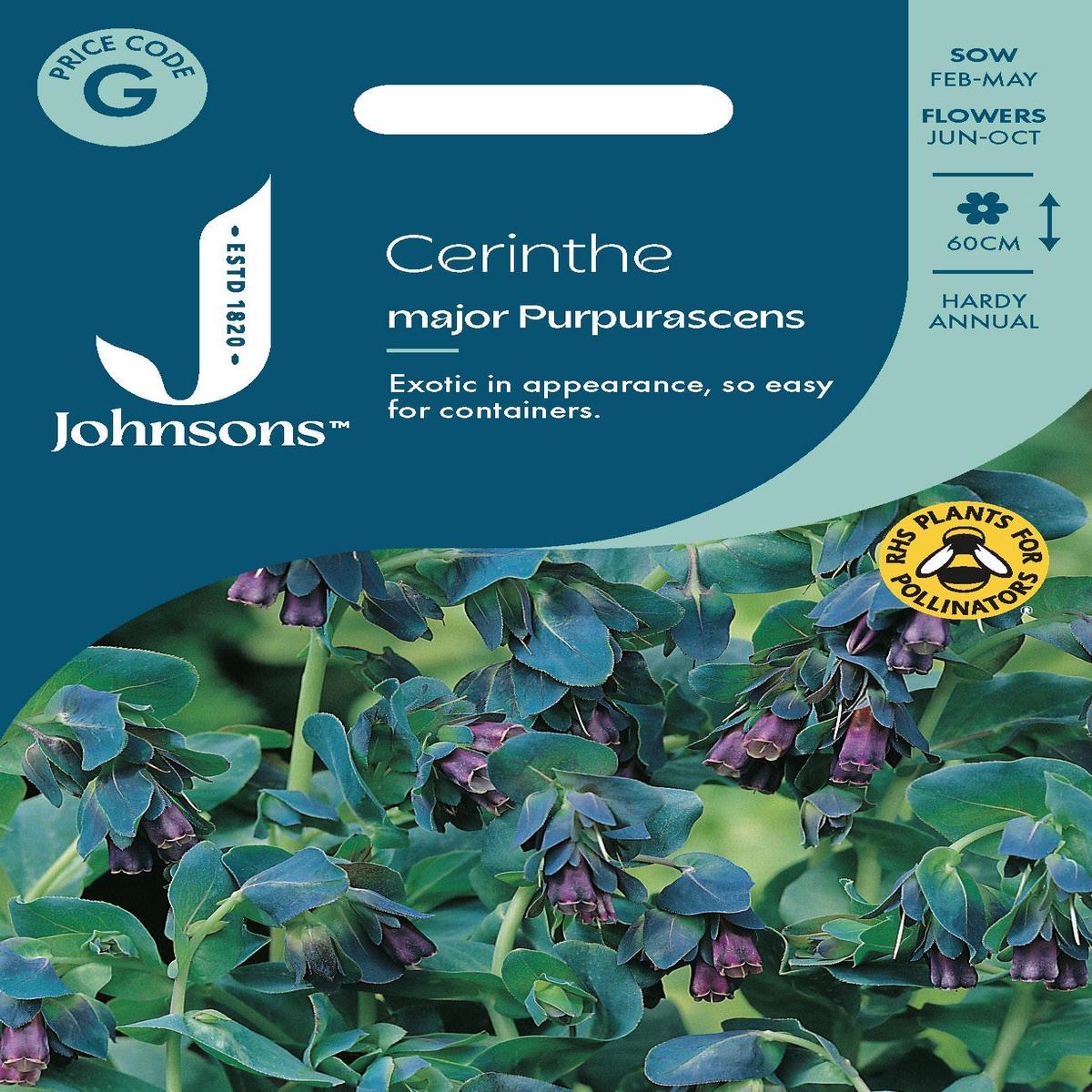 Johnsons - Cerinthe Major Purpurascens - 20 Seeds