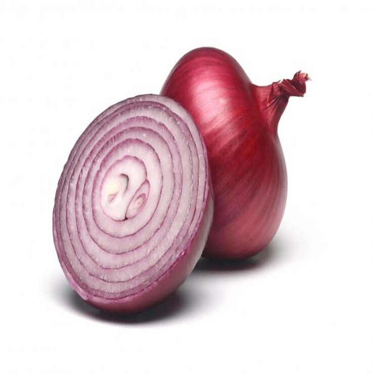 Onion Red Globe 8211 Pacific Northwest Seeds