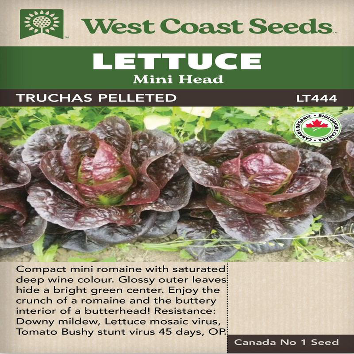 Organic Lettuce Truchas Pelleted 8211 West Coast Seeds