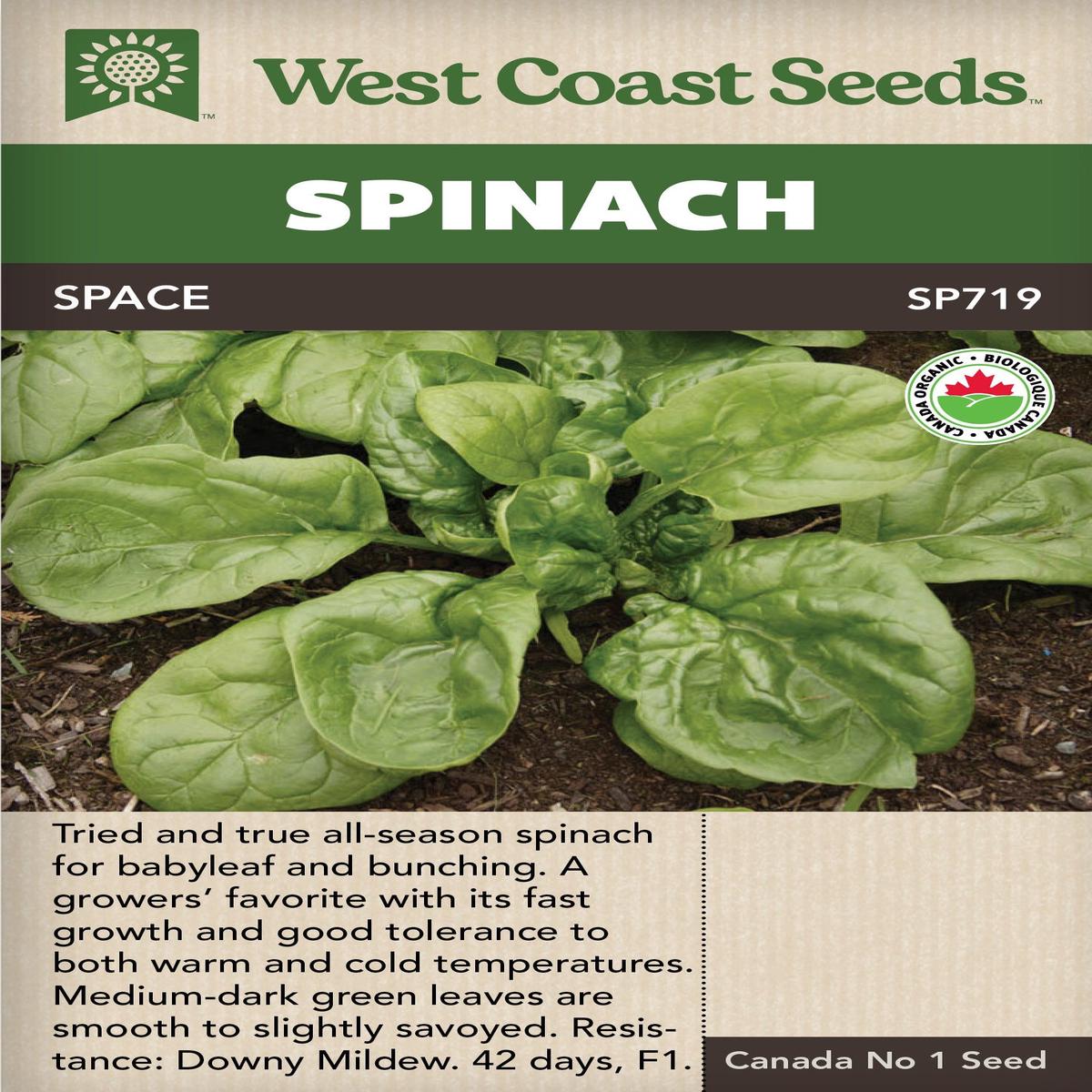 Spinach Seaside Organic - West Coast Seeds