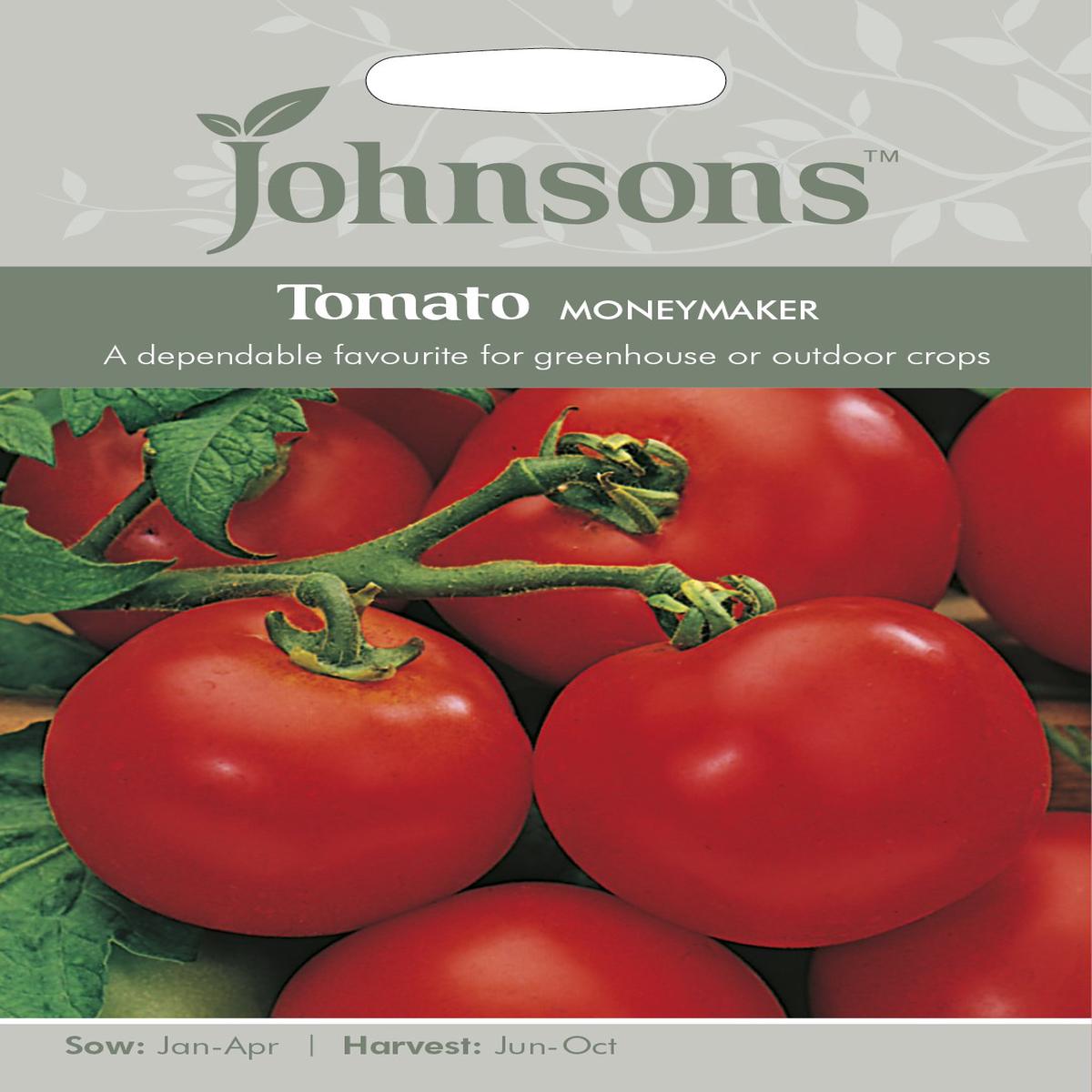 TOMATO Moneymaker **