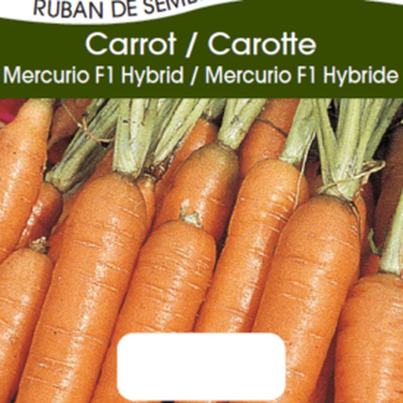 Carrot Mercurio Seed Tape - Ontario Seed Company