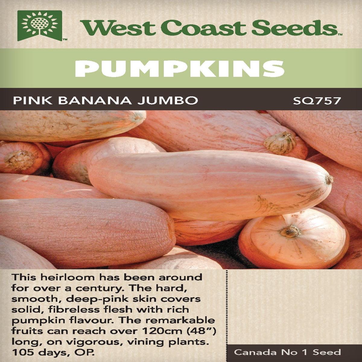 Pumpkin Pink Banana Jumbo - West Coast Seeds