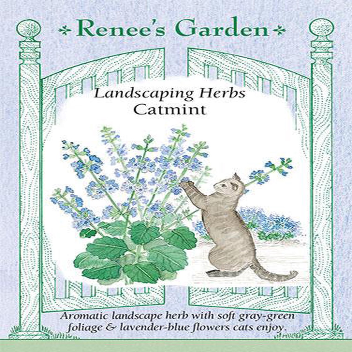 Catmint - Renee's Garden