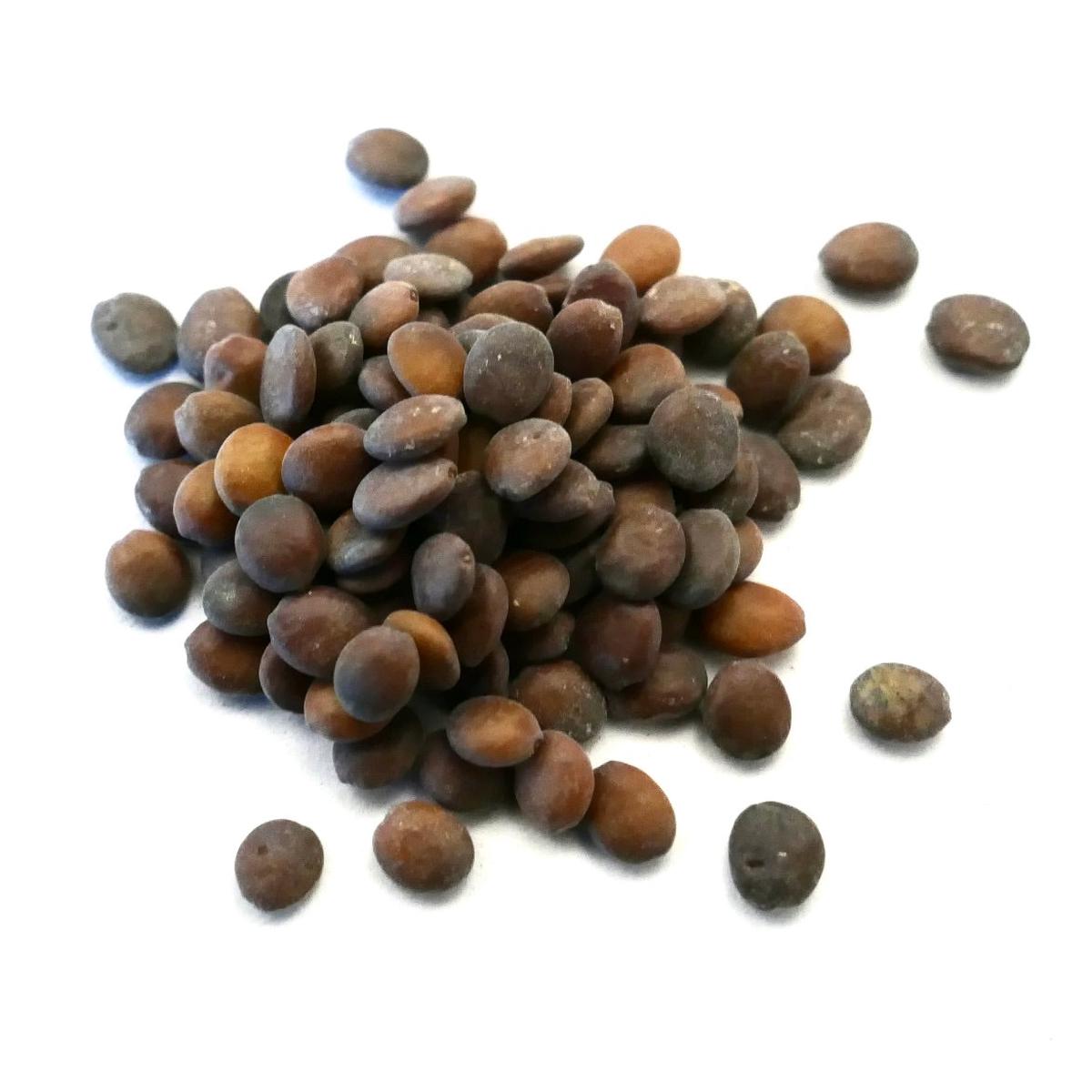 Cercis canadensis SEEDS - 100 Seeds