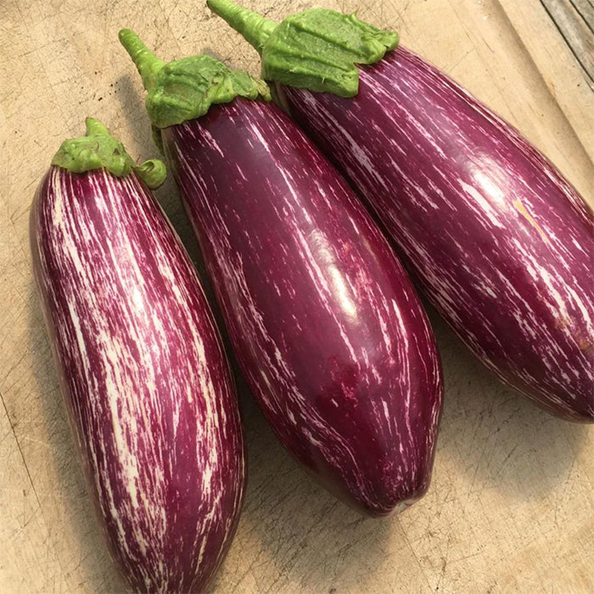 Eggplant, Listada di Gandia (Organically Grown Seeds) (SGH)