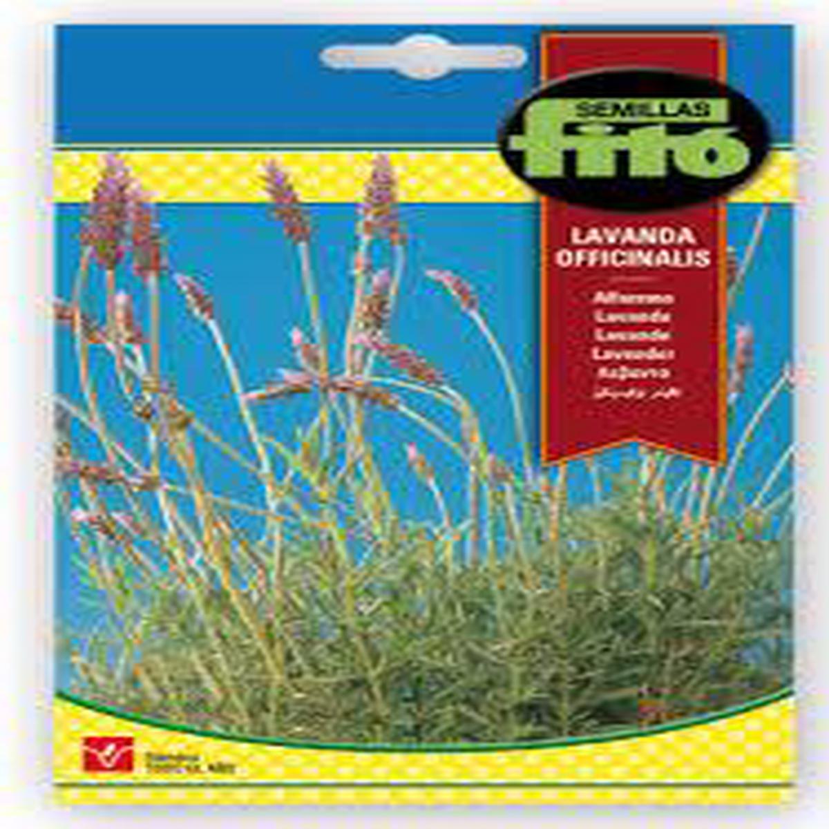 Fito Lavender