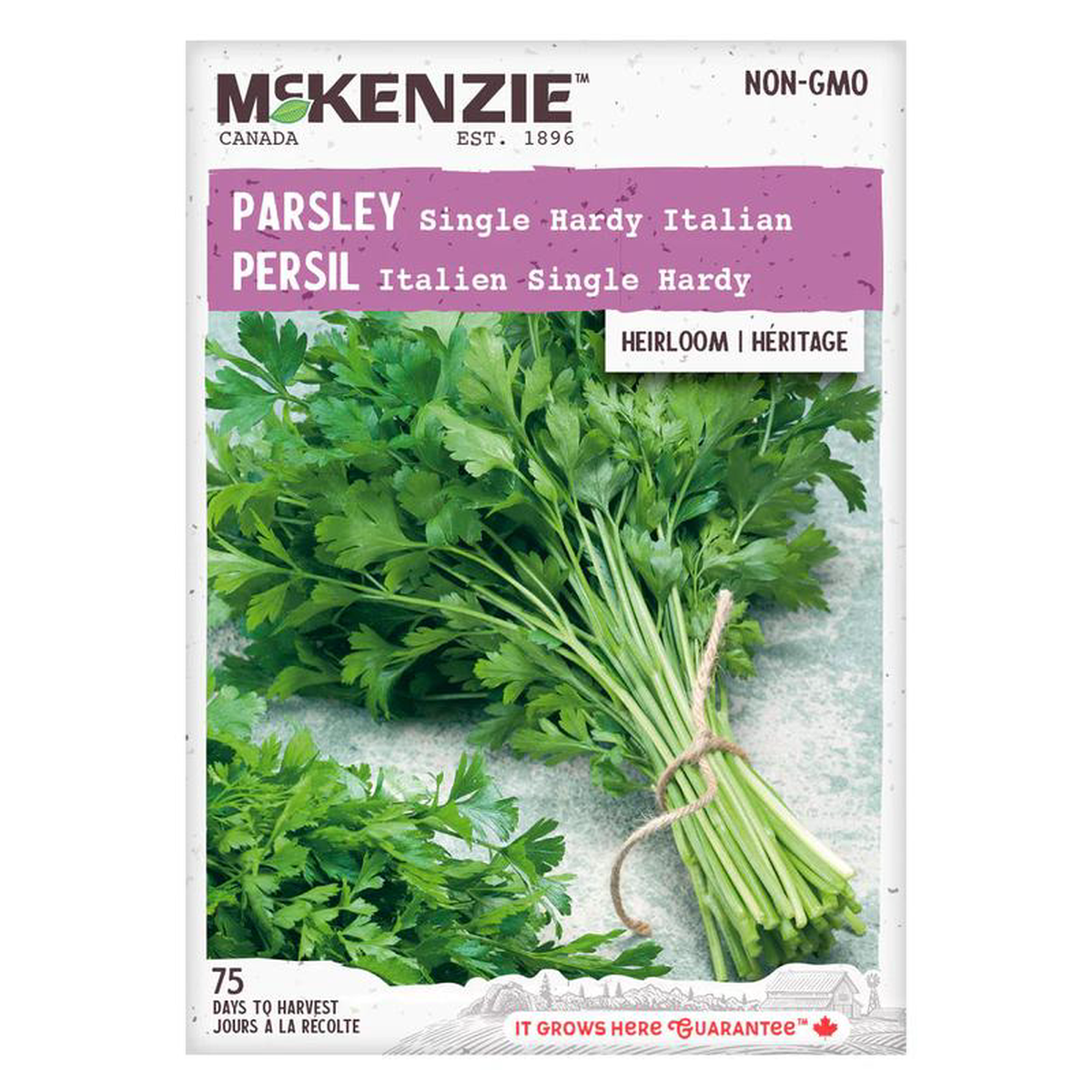 Parsley Single Hardy Italian 8211 McKenzie Seeds