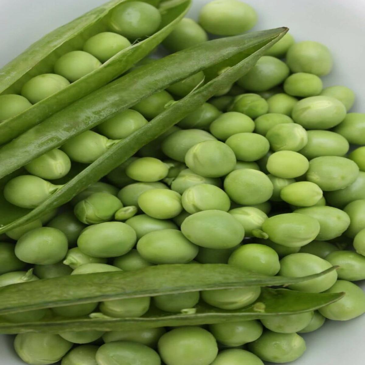 Peas Early Frosty Large - Ontario Seed Company