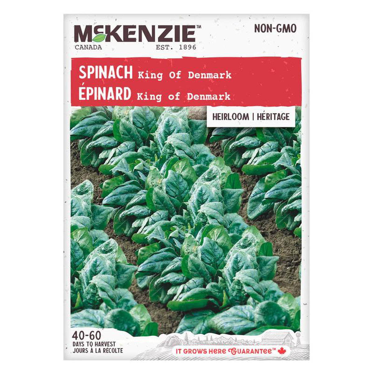 Spinach King of Denmark 8211 McKenzie Seeds