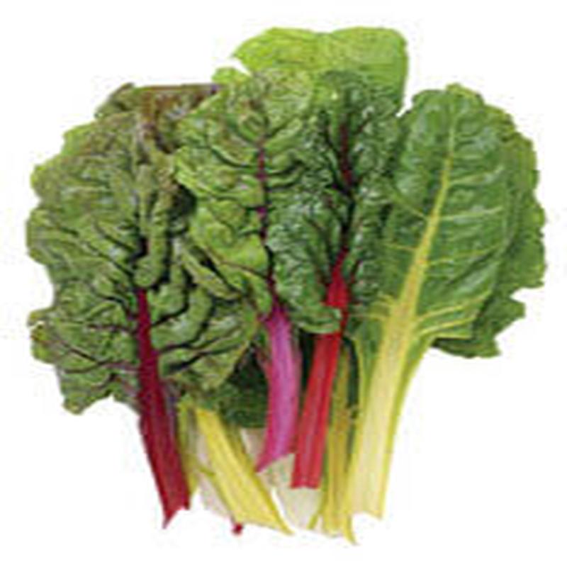 Swiss Chard Bright Lights - Ontario Seed Company