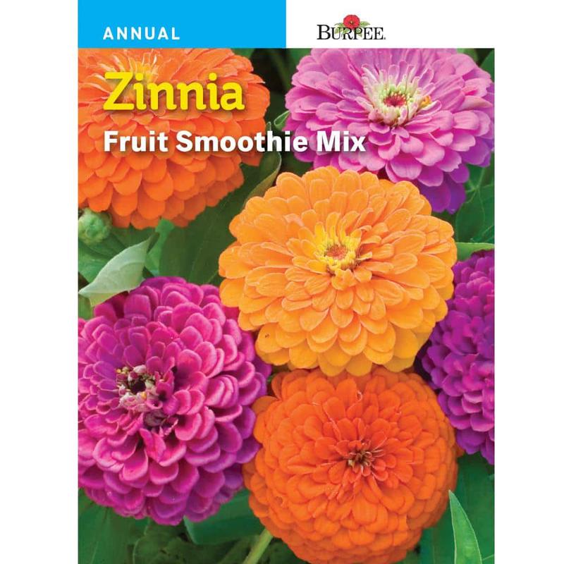 Zinnia Fruit Smoothie Mix - Burpee Seeds