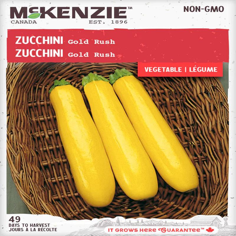Zucchini Gold Rush - McKenzie Seeds