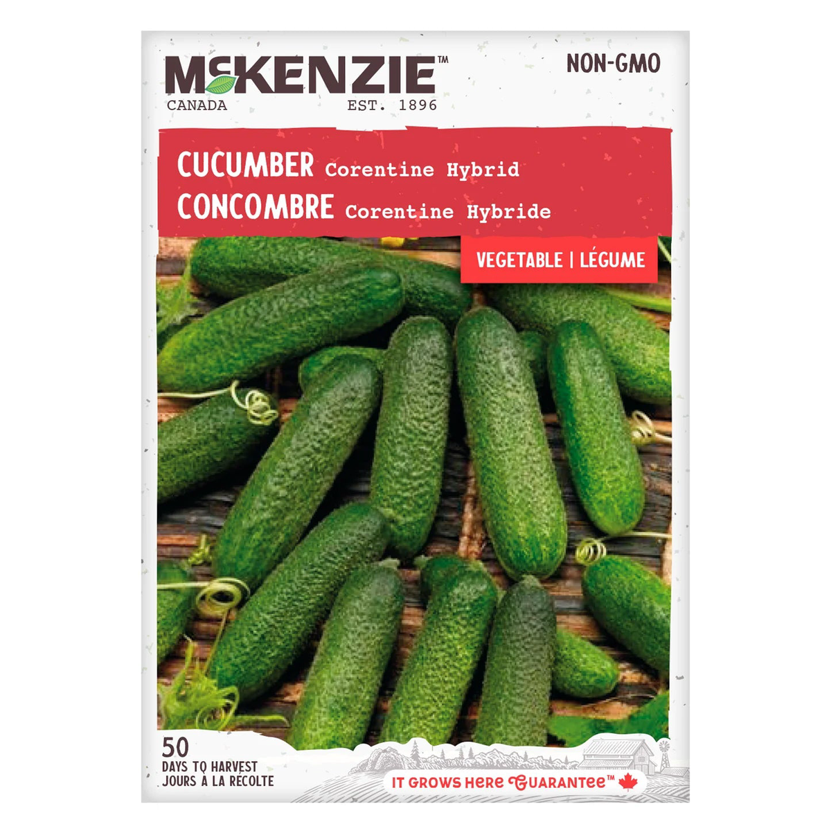Cucumber Corentine Hybrid - McKenzie Seeds