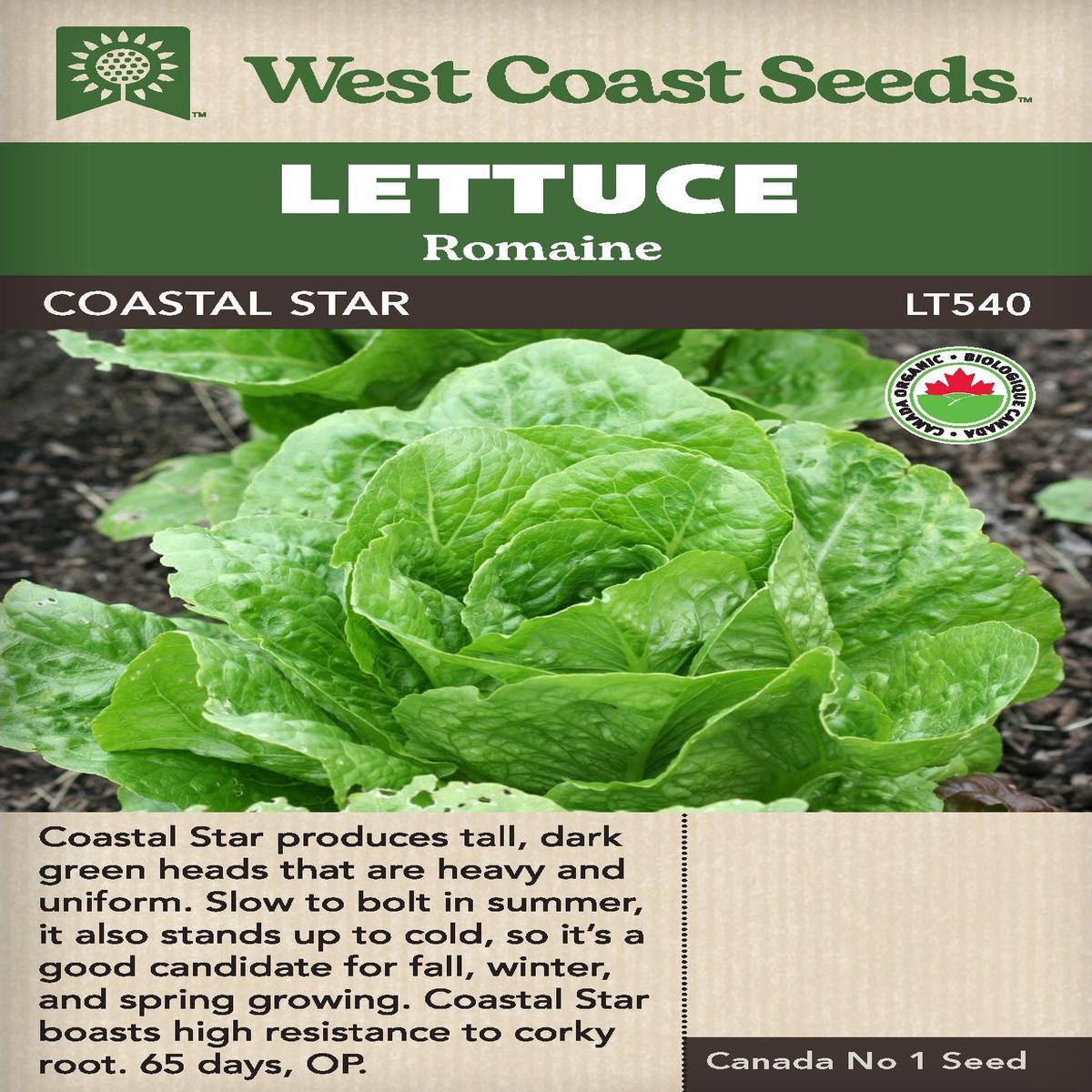 Organic Lettuce Coastal Star - West Coast Seeds