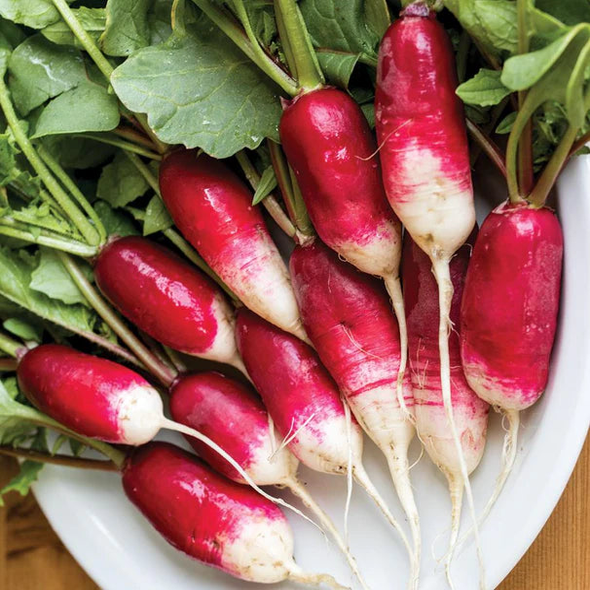 Radishes - French Breakfast