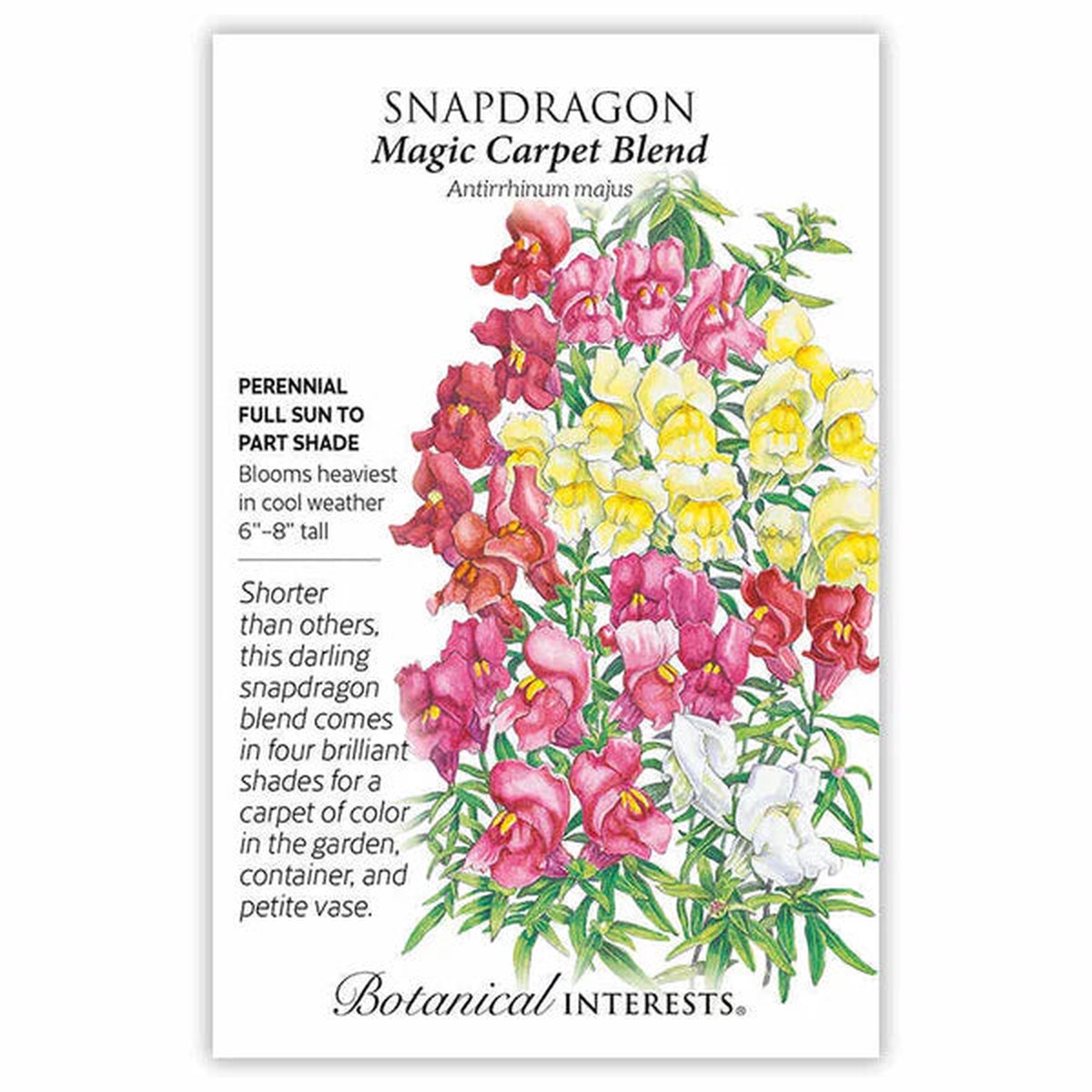 Snapdragon seeds 'Magic Carpet Blend'