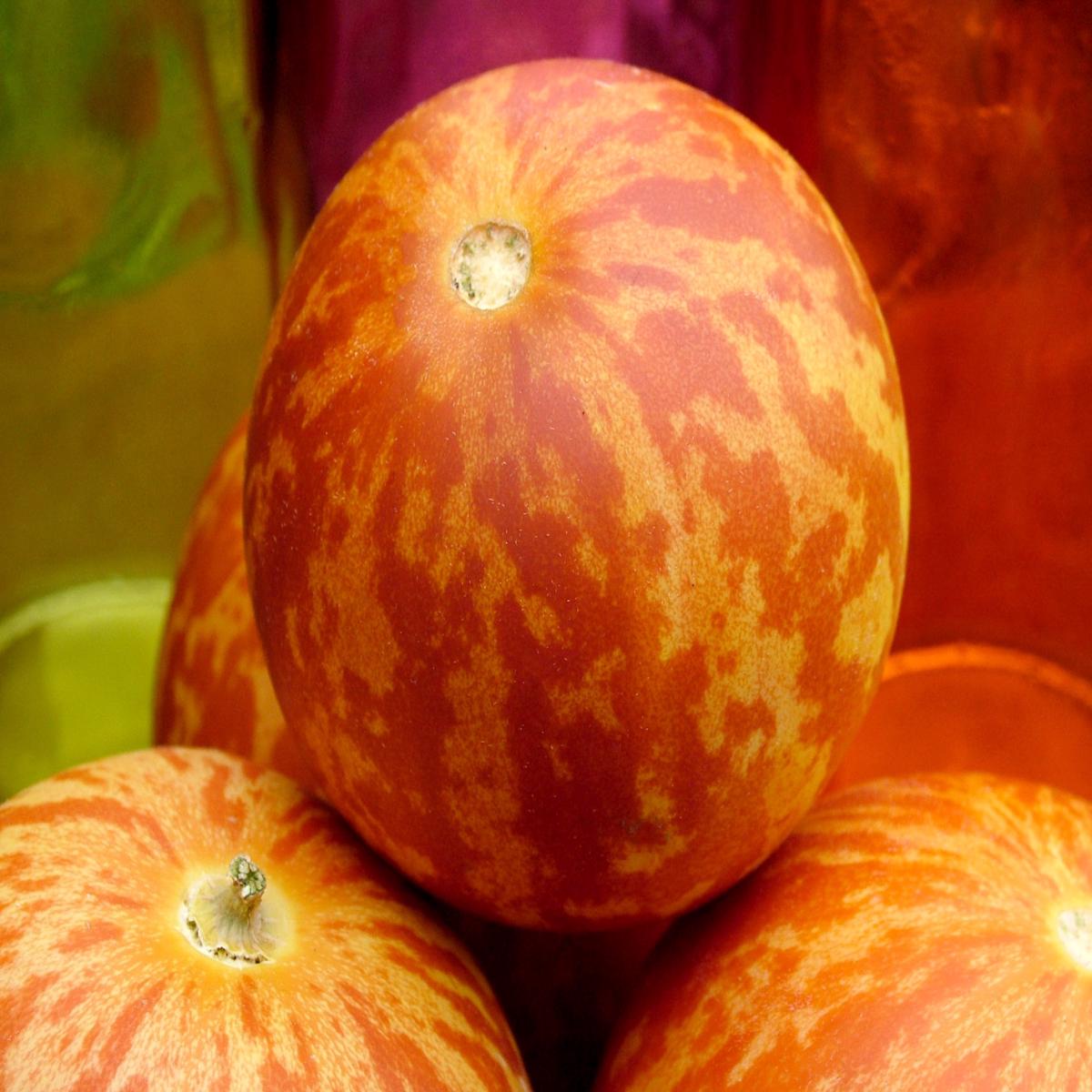 15 TIGGER / TIGER MELON Edible Muskmelon & Ornamental Vine Cucumis Melo Seeds