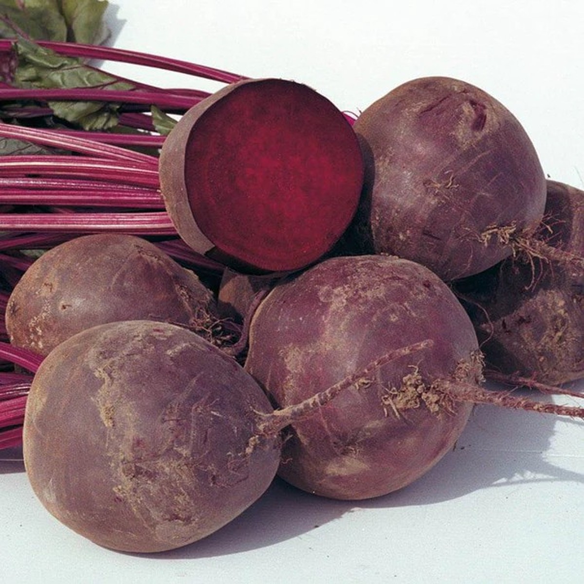 Beets - Boro F1 (Coated) Certified Organic