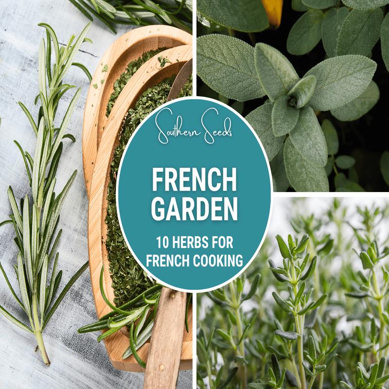 French Garden Seed Collection  10 Varieties