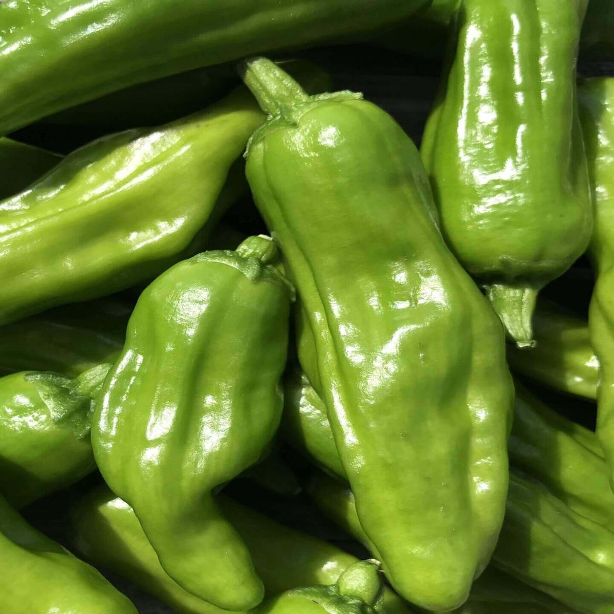 Pepper Golden Greek Pepperoncini - Ontario Seed Company