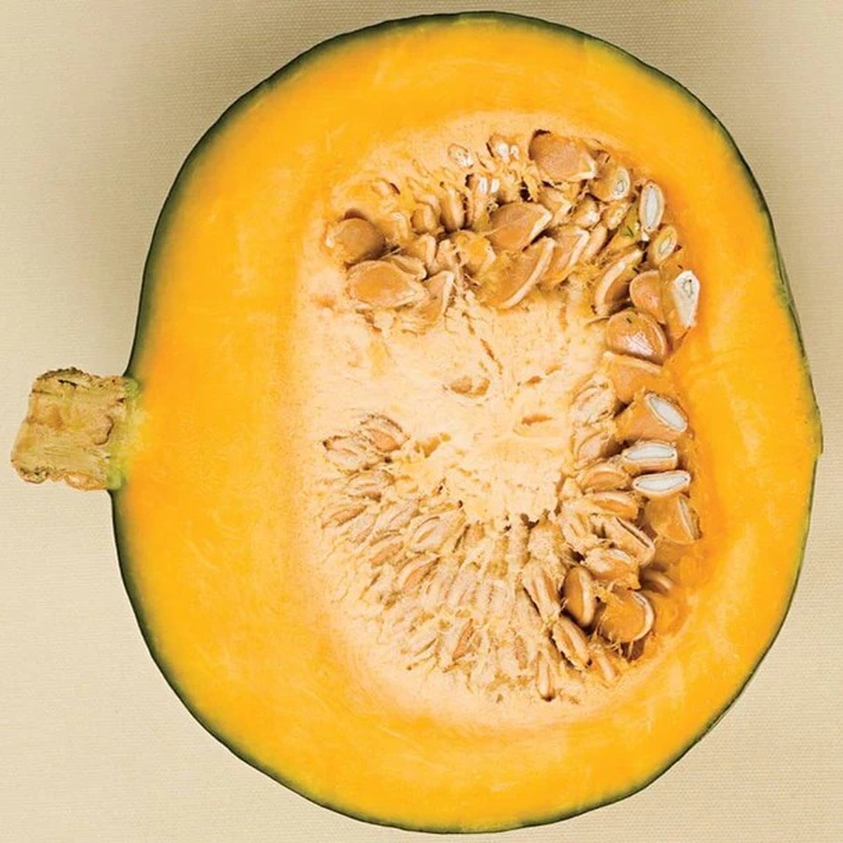Squash - Winter - Sweet Mama F1
