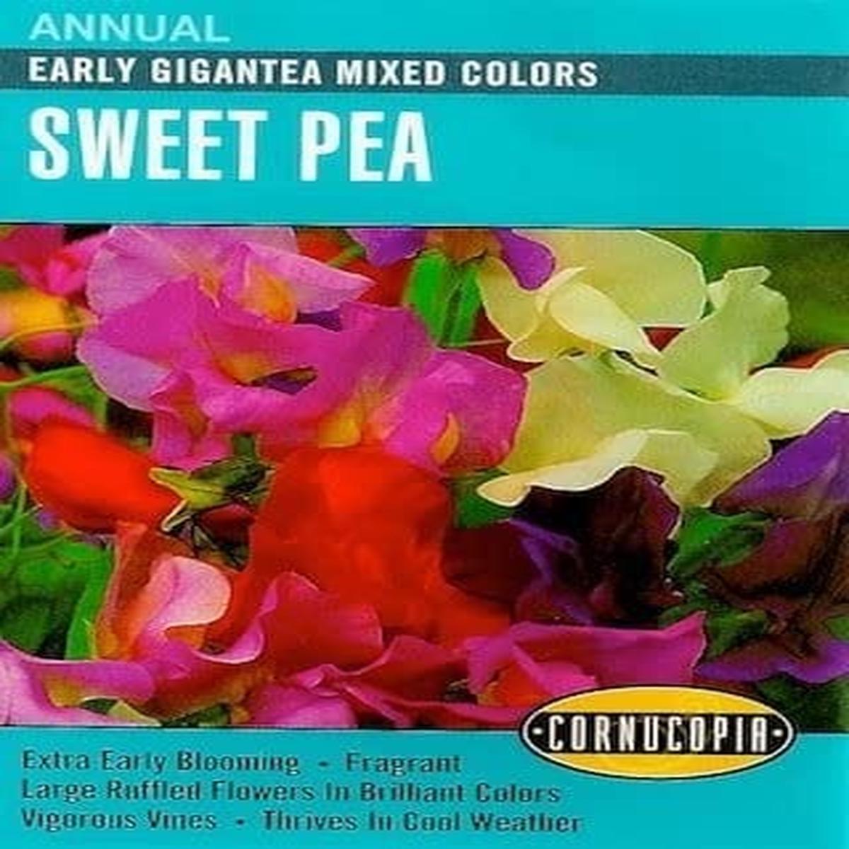 Sweet Pea - Early Gigantea Mixed Colors