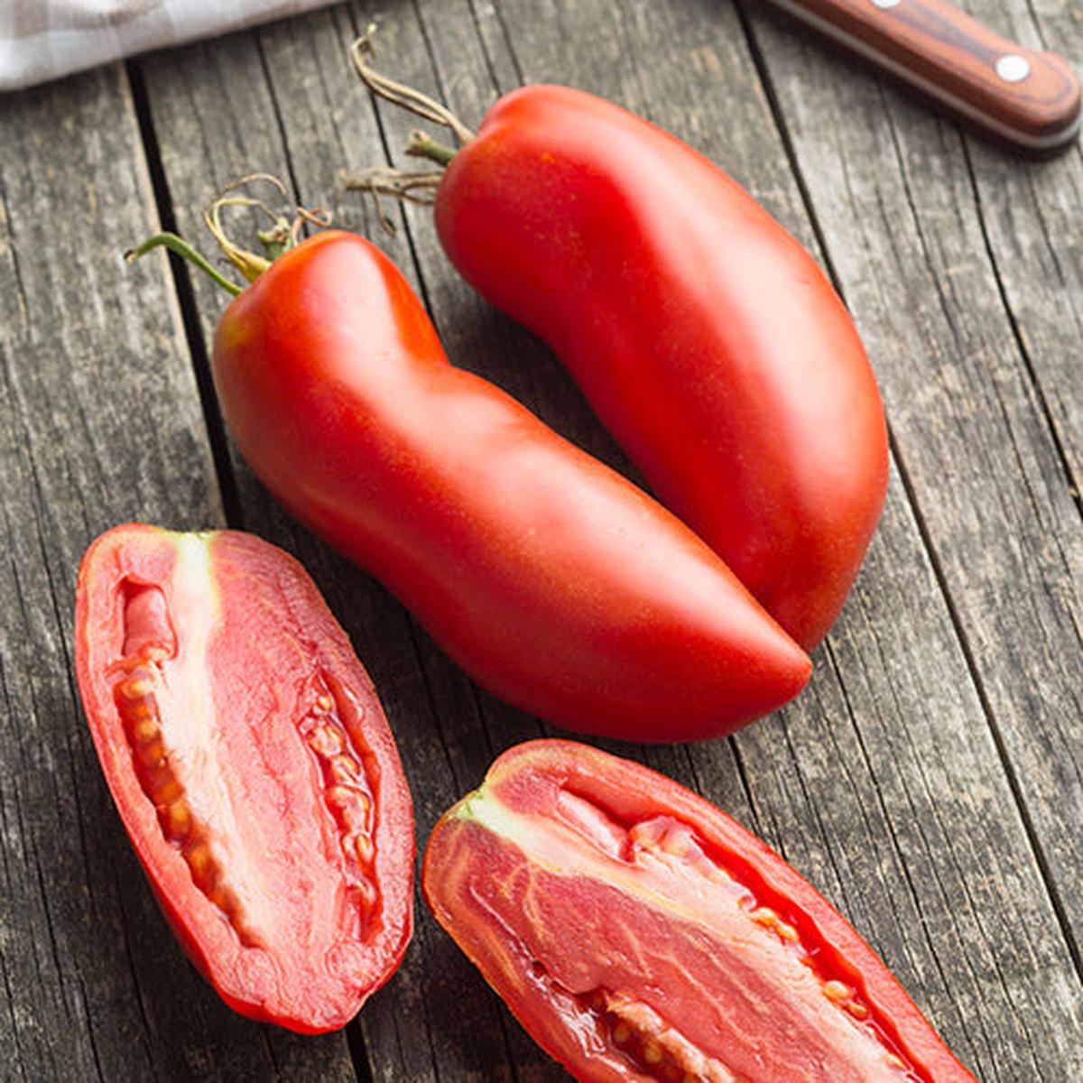 Tomato (Paste), San Marzano (Organically Grown Seeds