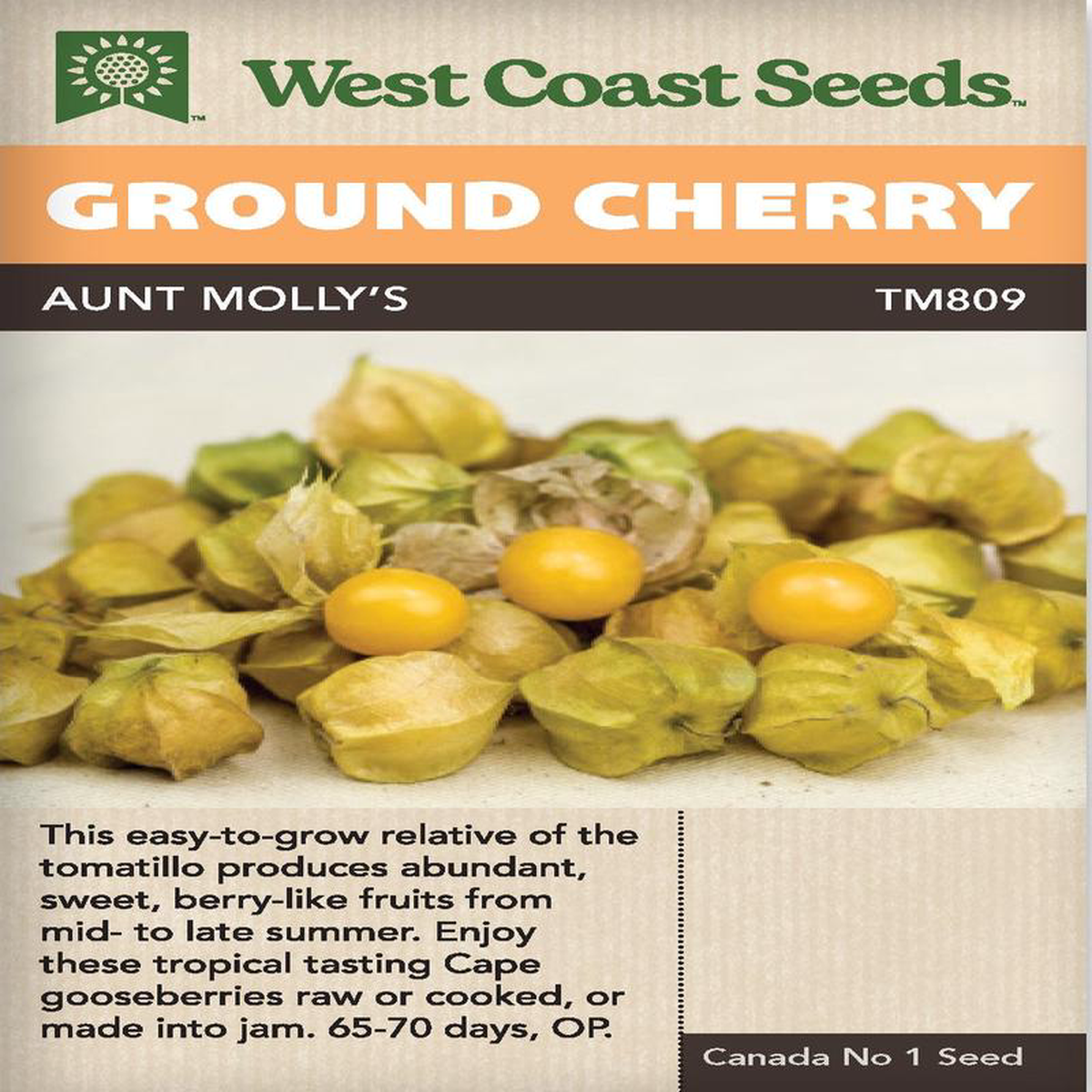 Ground Cherry Aunt Molly8217s 8211 West Coast Seeds
