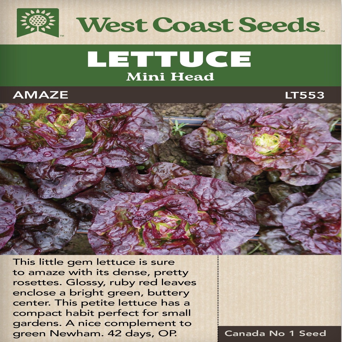 Lettuce Amaze - West Coast Seeds