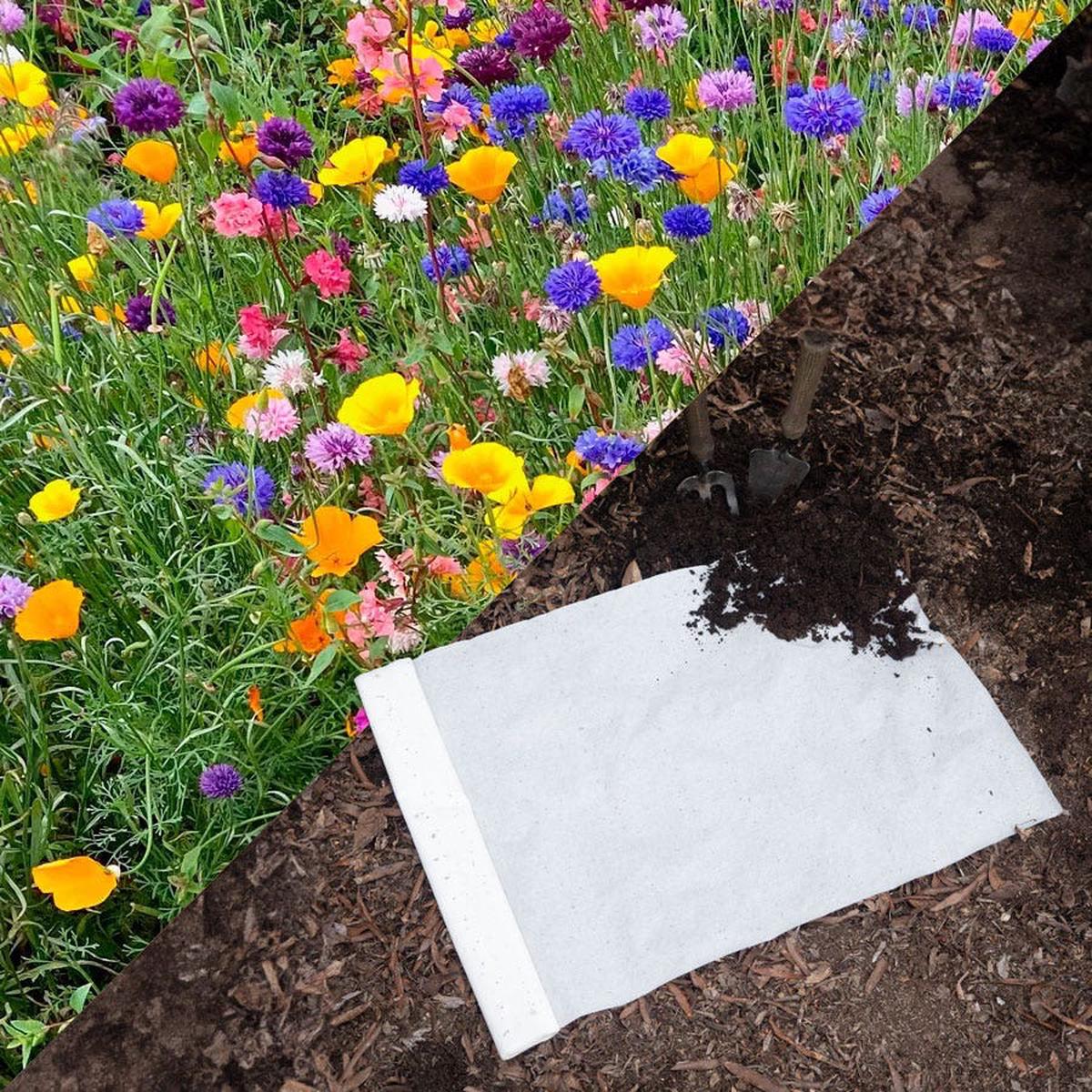 Sow Effortless Collection Wildflower Mix Seed Mat