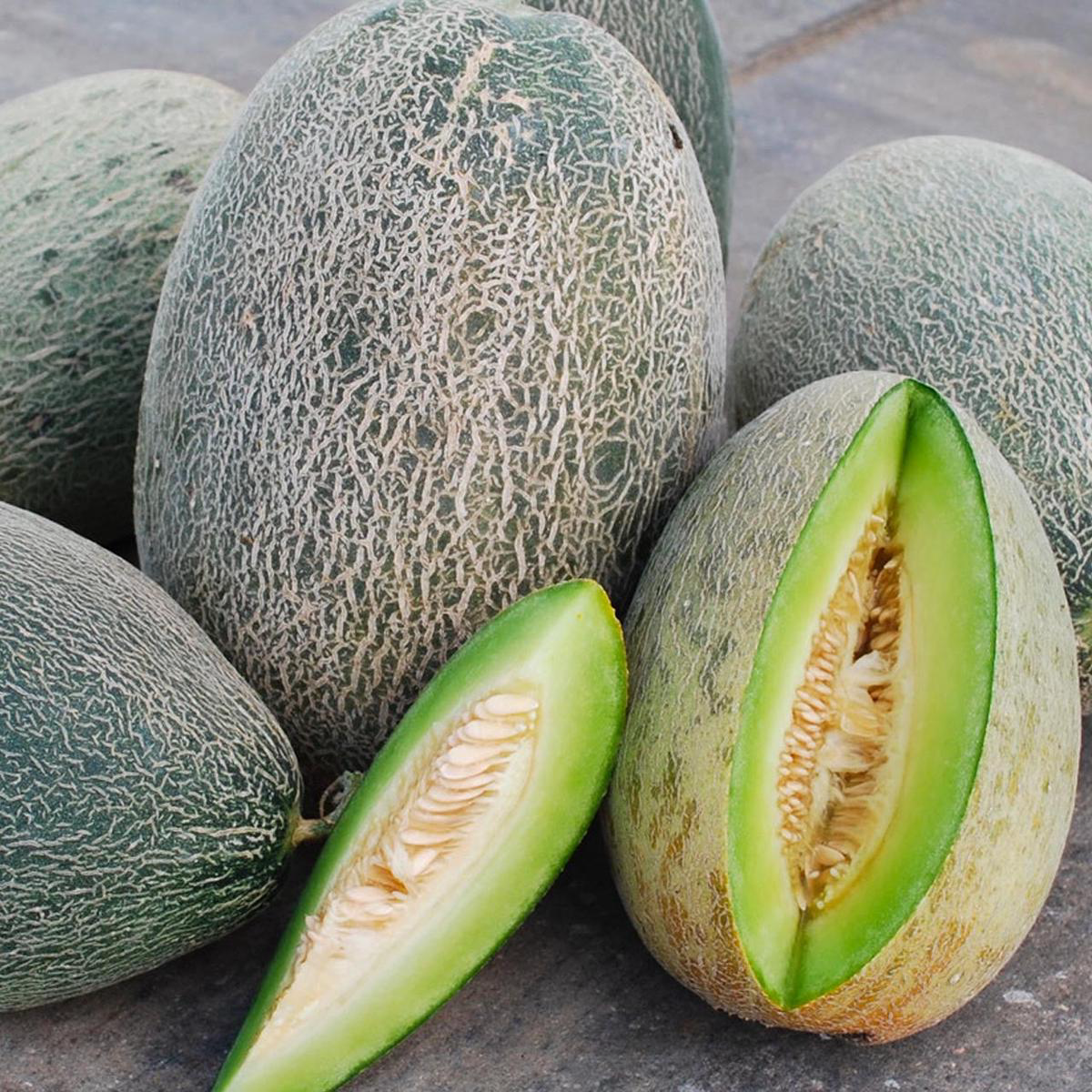 Bateekh Samara Melon