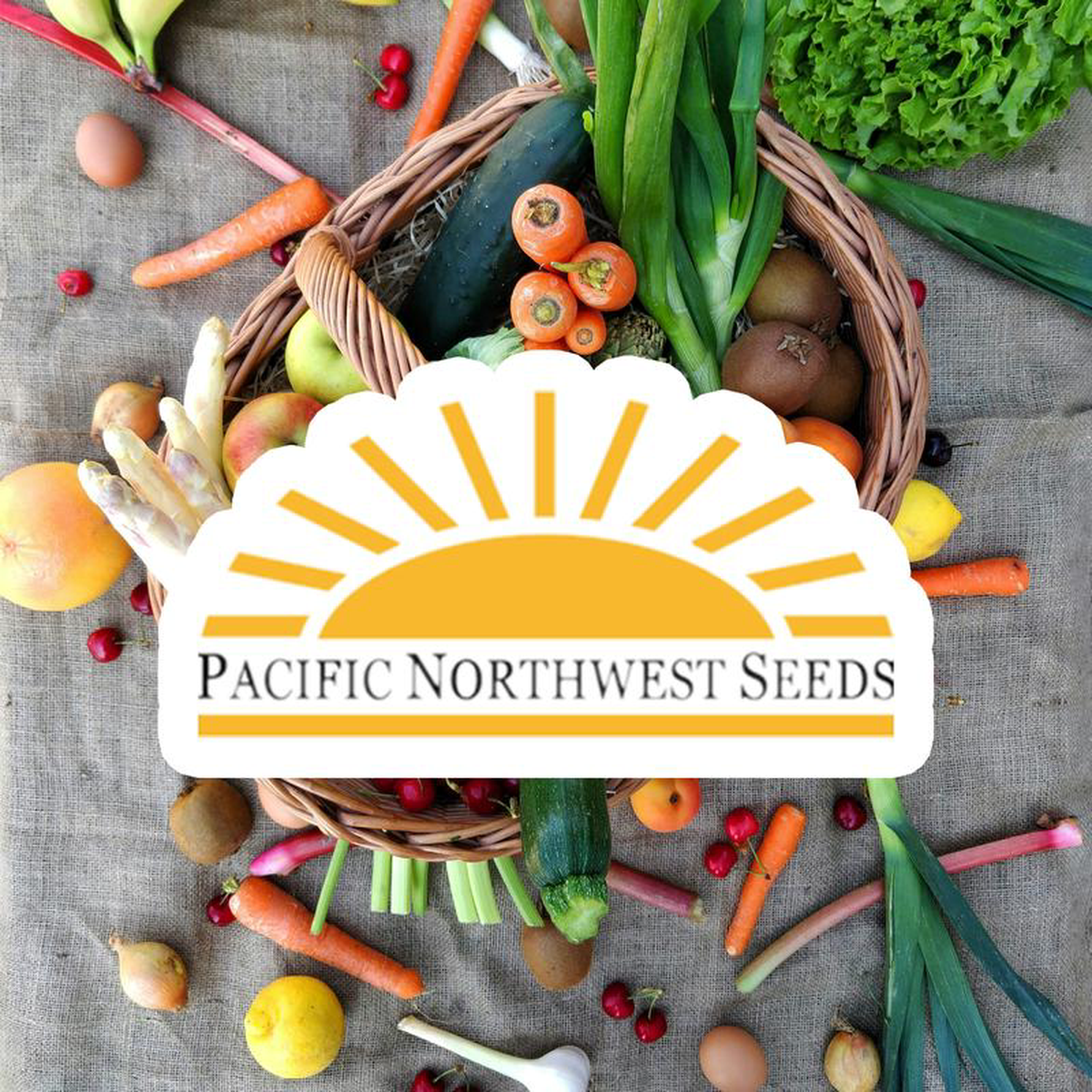 Cabbage Danish Ballhead 8211 Pacific Northwest Seeds