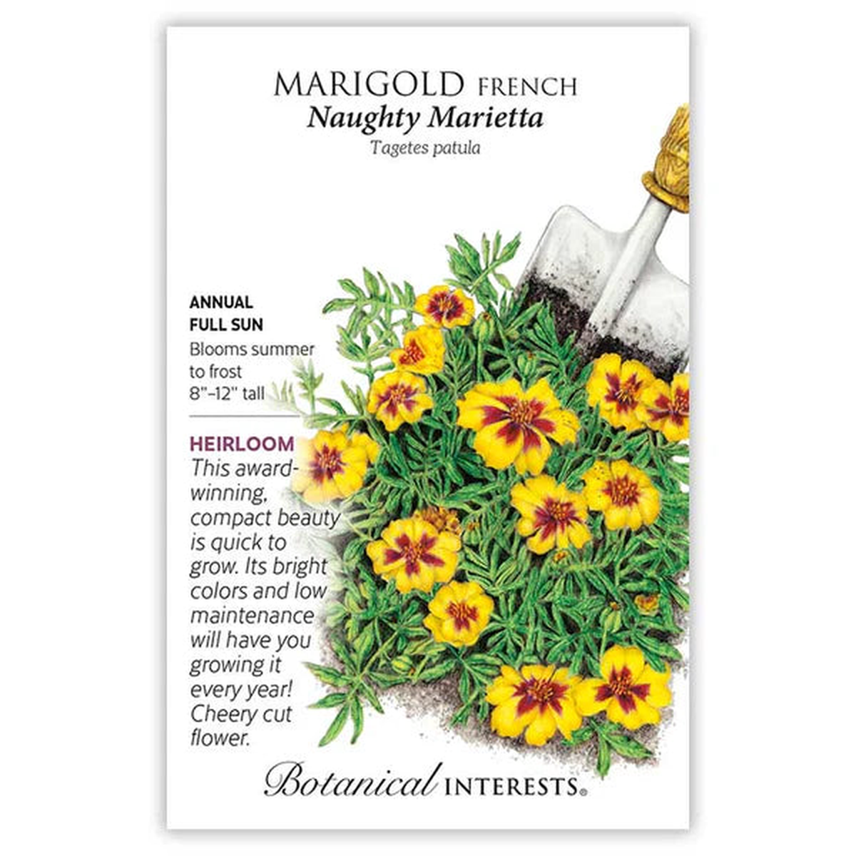 Marigold French seeds, "Naughty Marietta"