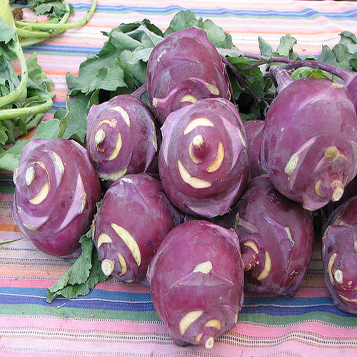 Purple Kohlrabi Seeds - 2 Grams