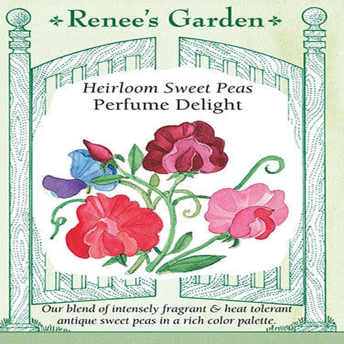 Sweet Pea Perfume Delight 8211 Renee8217s Garden