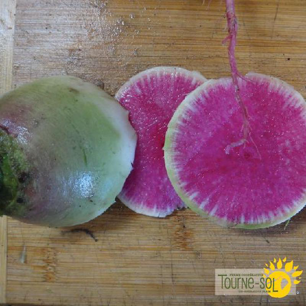 Watermelon Radish Seeds Organic