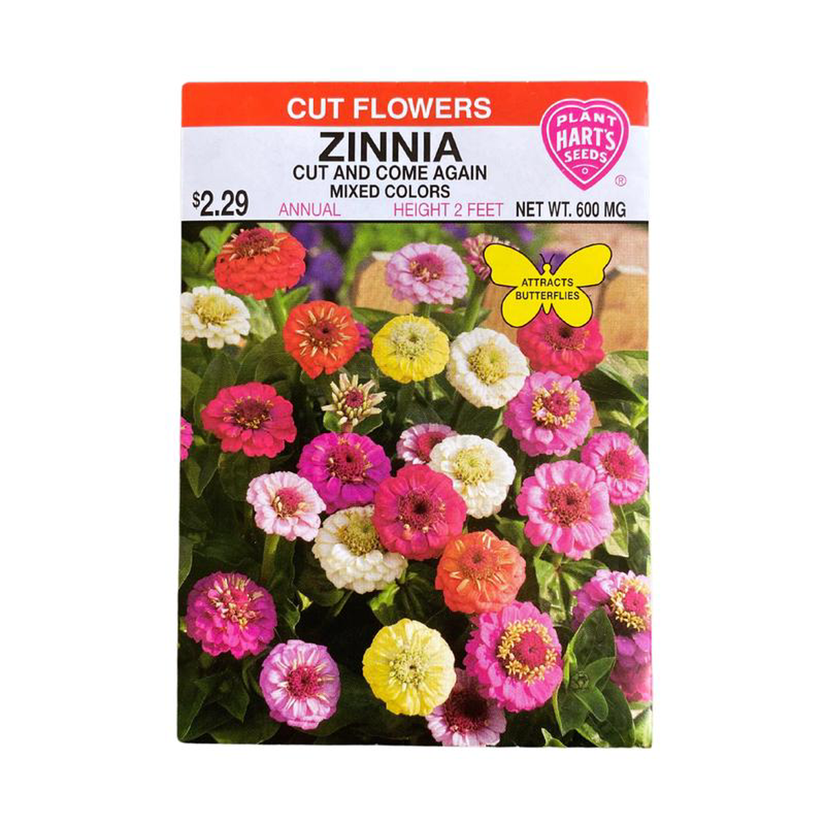 Zinnia Cut 038 Come