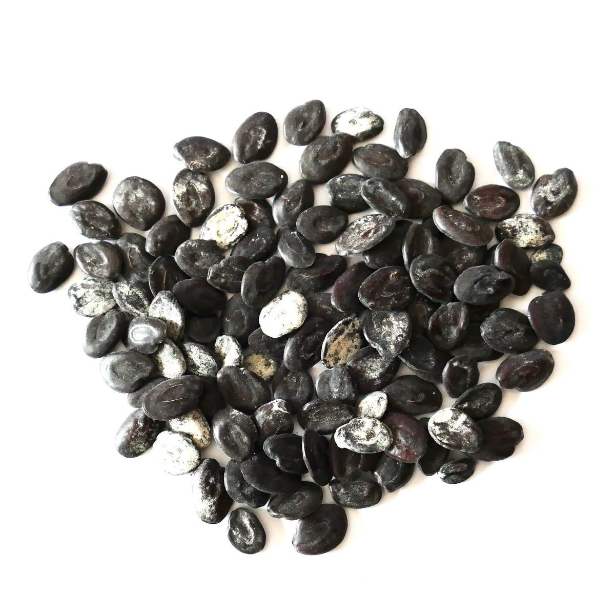 Albizia niopoides SEEDS - 150 seeds