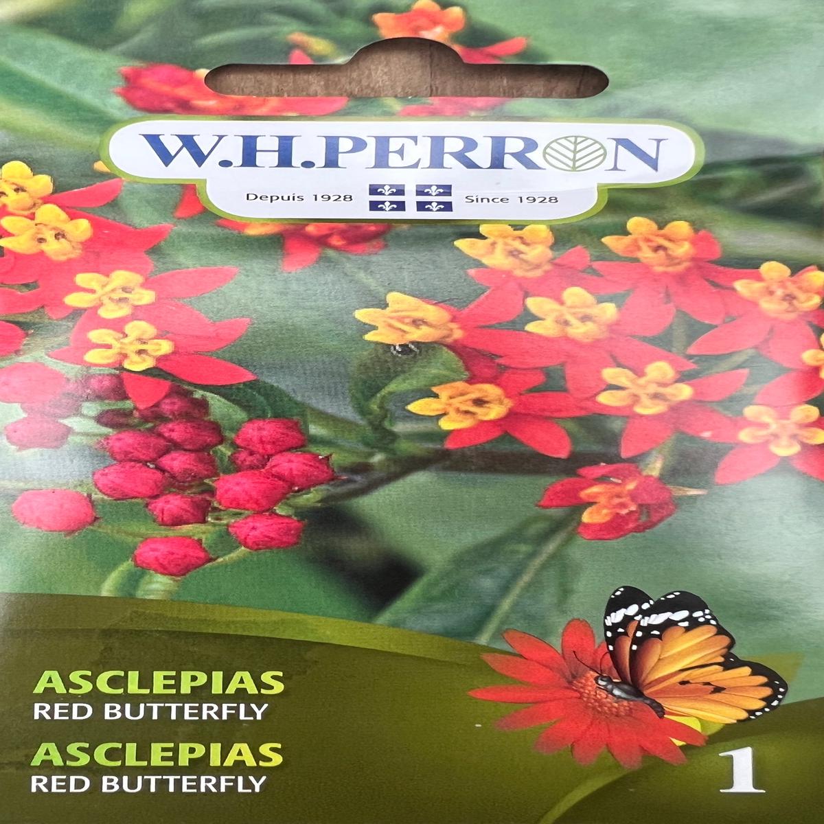 Asclepias Red Butterfly Seeds
