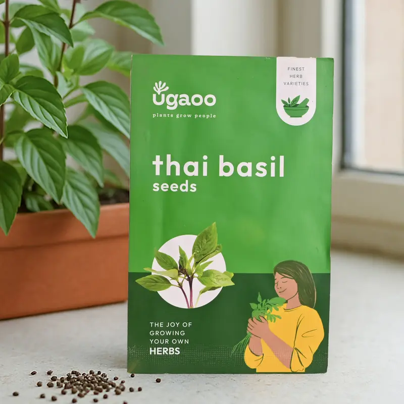 Thai Basil (1000 Seeds)