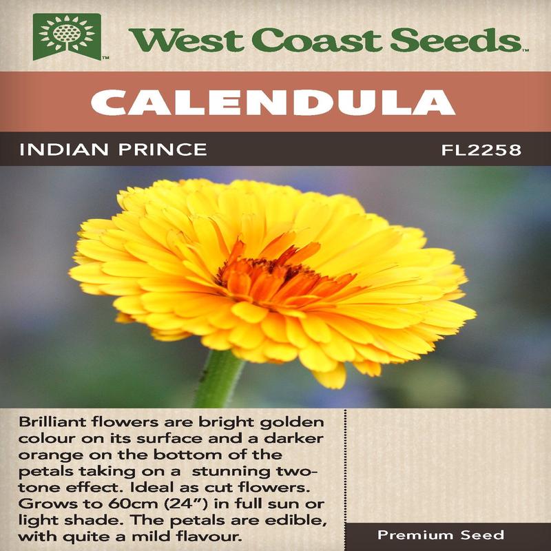 Calendula Indian Prince - West Coast Seeds
