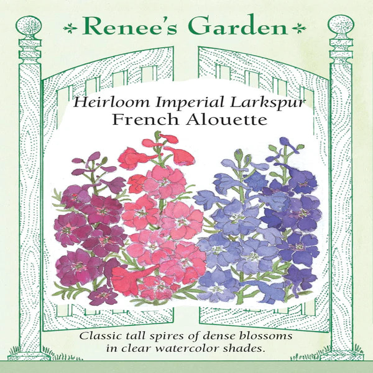 Larkspur French Alouette - Renee's Garden