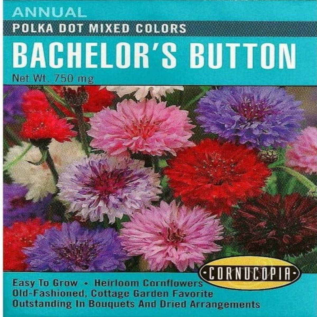 Bachelor's Button Polka Dot Mix - Cornucopia Seeds