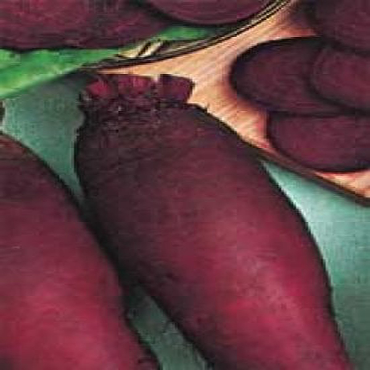 Beet Cylindra - Aimers Organic Seeds