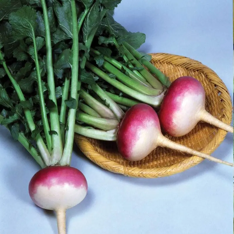 Royal Crown Hybrid Turnip Seeds