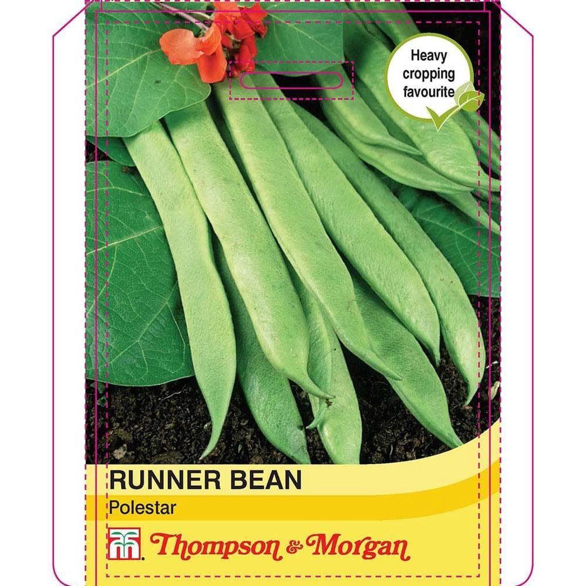Thompson & Morgan Runner Bean Polestar 40 Seed